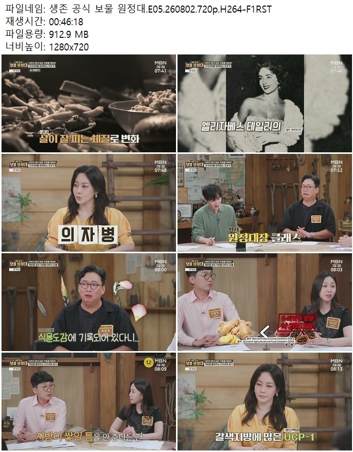 생존 공식 보물 원정대.E05.260802.720p.H264
