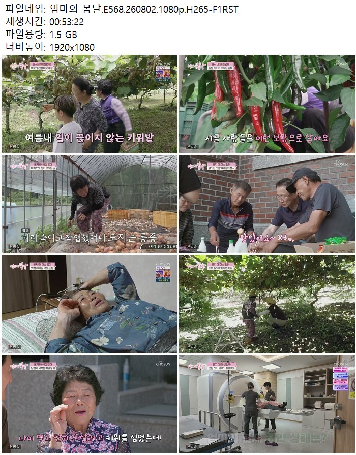 엄마의 봄날.E568.260802.1080p.H265