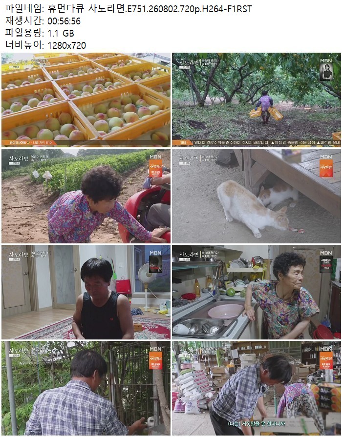 휴먼다큐 사노라면.E751.260802.720p.H264