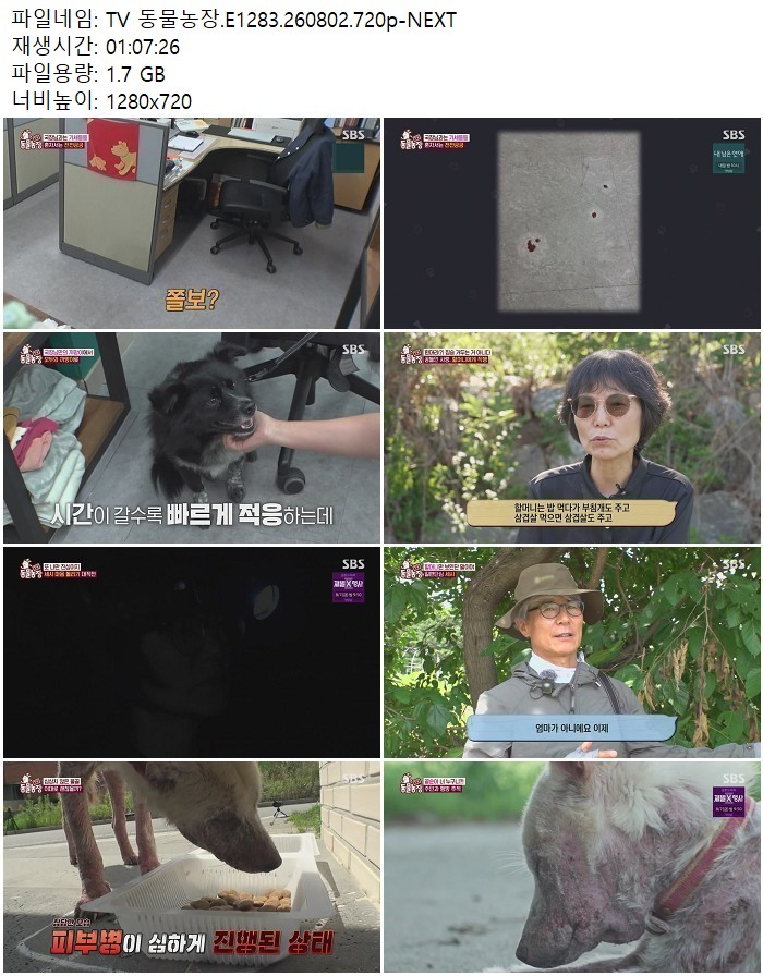TV 동물농장.E1283.260802.720p-NEXT