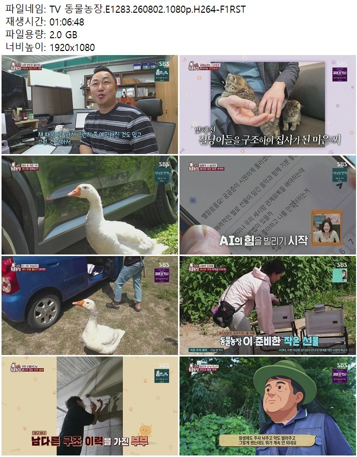 TV 동물농장.E1283.260802.1080p.H264