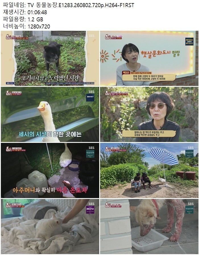 TV 동물농장.E1283.260802.720p.H264