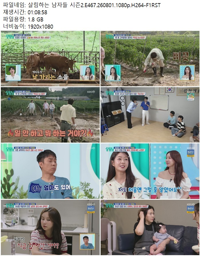 살림하는 남자들 시즌2.E467.260801.1080p.H264