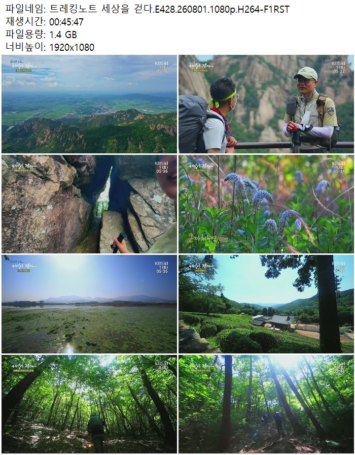 트레킹노트 세상을 걷다.E428.260801.1080p.H264