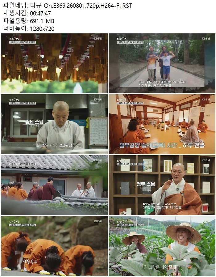 다큐 On.E369.260801.720p.H264