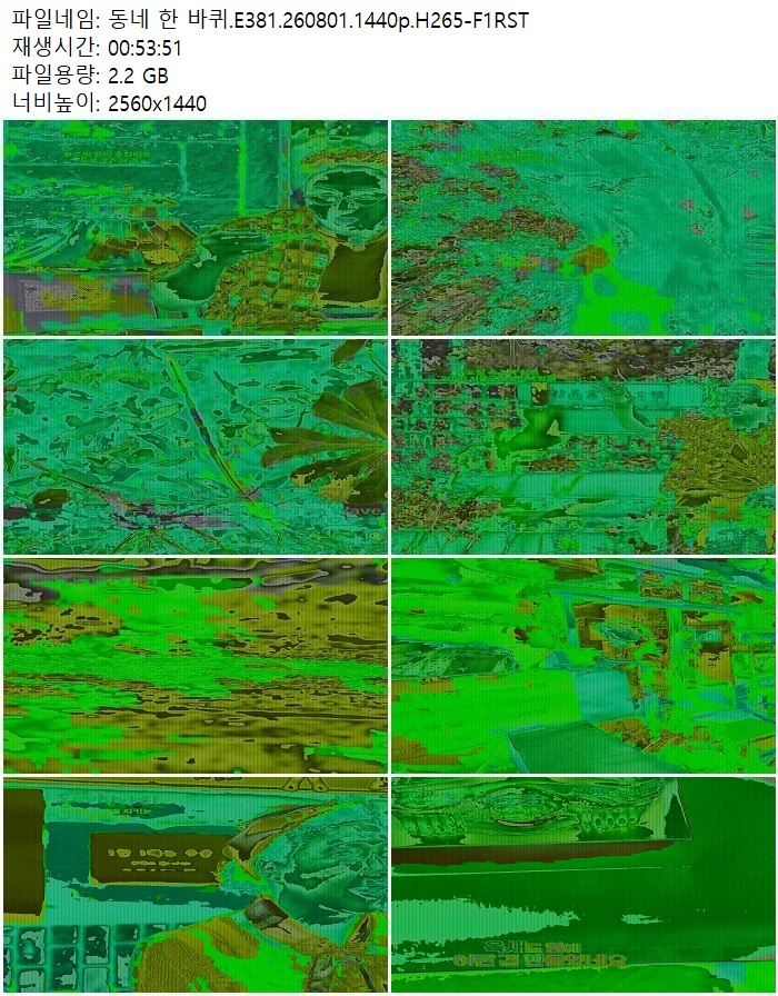 동네 한 바퀴.E381.260801.1440p.H265