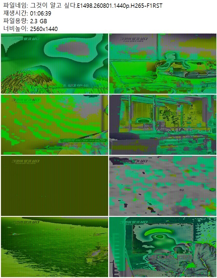 그것이 알고 싶다.E1498.260801.1440p.H265