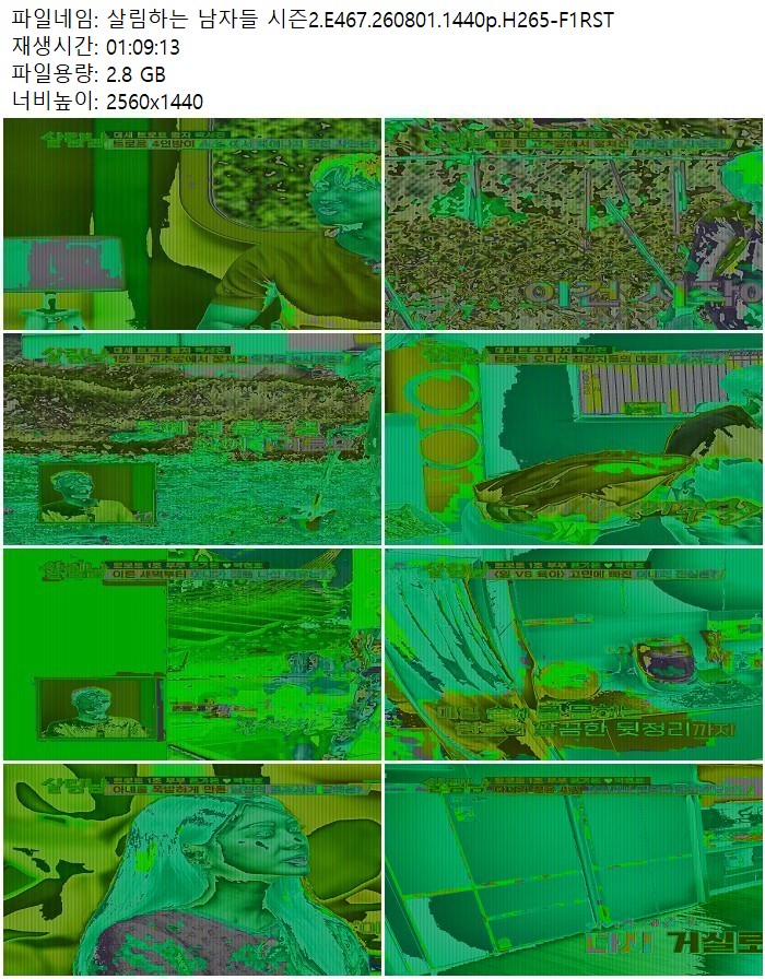 살림하는 남자들 시즌2.E467.260801.1440p.H265