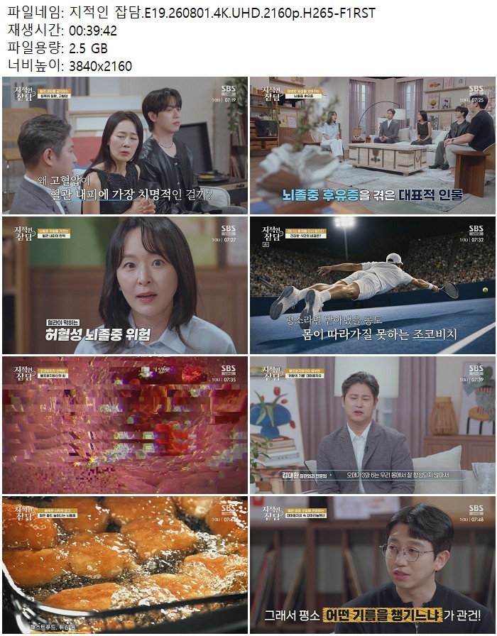 지적인 잡담.E19.260801.4K.UHD.2160p.H265