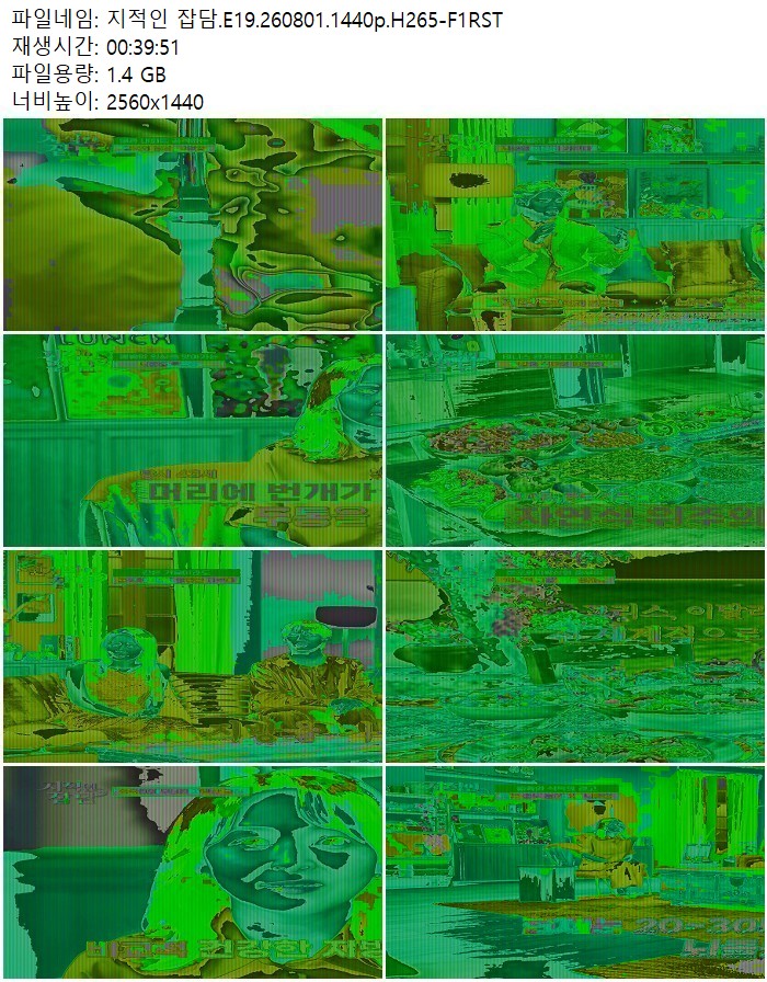 지적인 잡담.E19.260801.1440p.H265