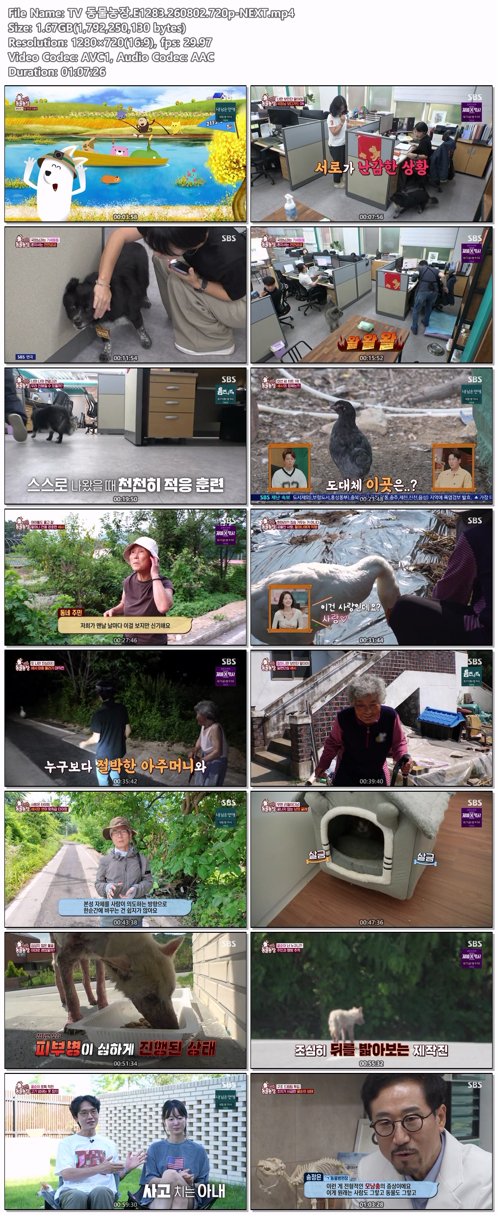 TV 동물농장.E1283.260802.720p-NEXT