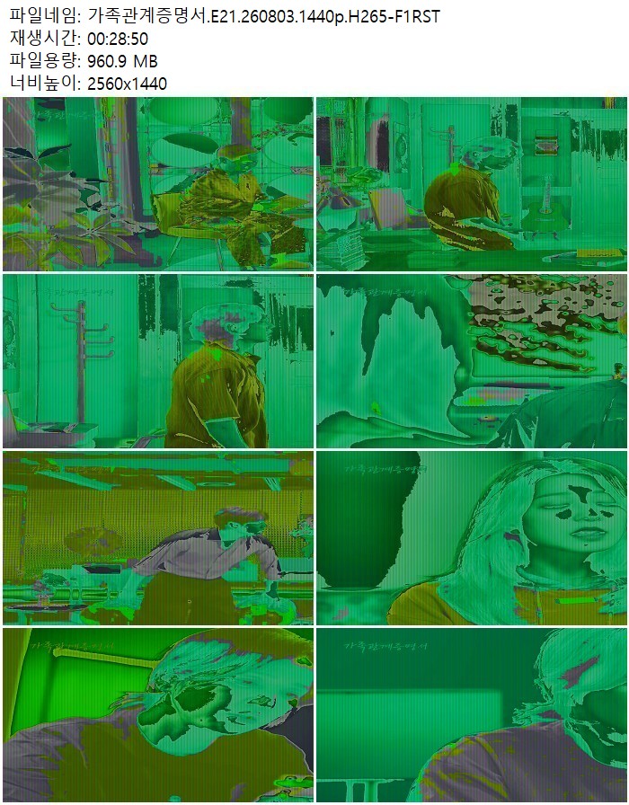 가족관계증명서.E21.260803.1440p.H265