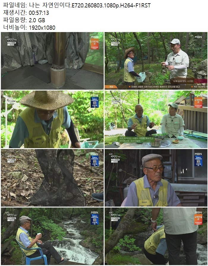 나는 자연인이다.E720.260803.1080p.H264
