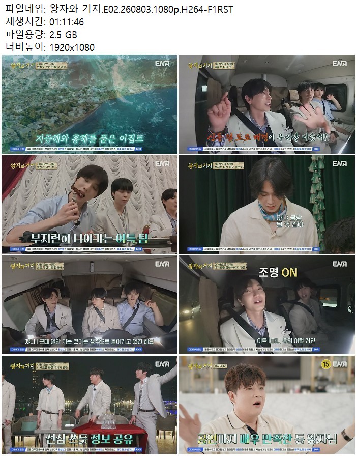 왕자와 거지.E02.260803.1080p.H264
