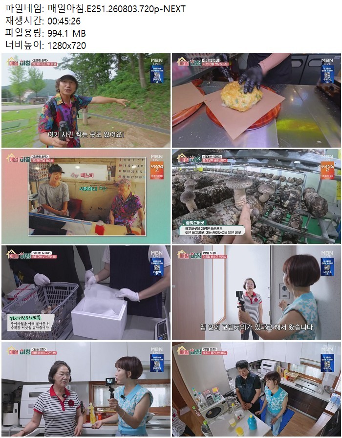 매일아침.E251.260803.720p-NEXT