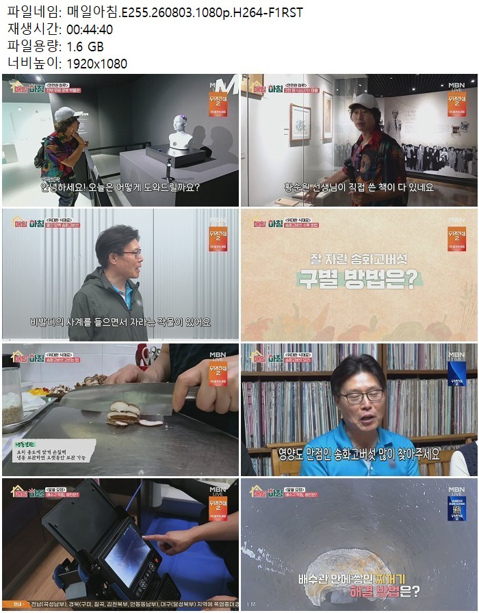 매일아침.E255.260803.1080p.H264