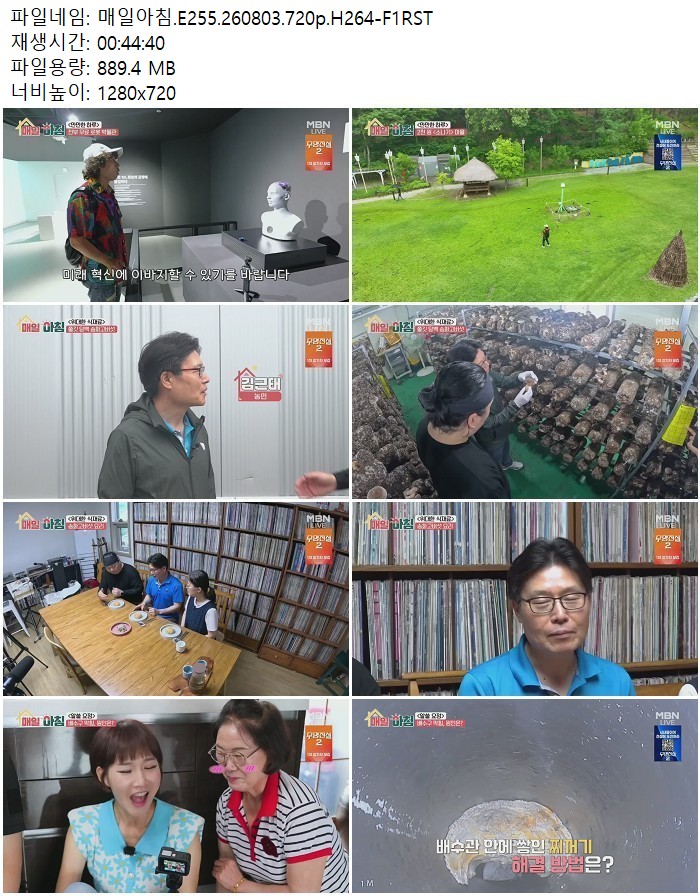 매일아침.E255.260803.720p.H264