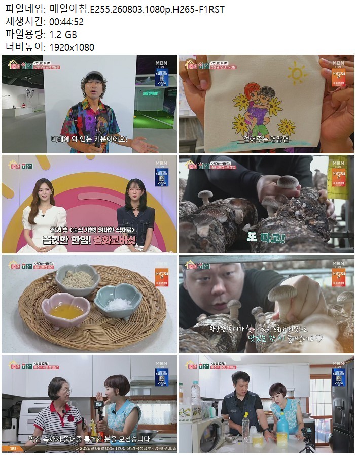 매일아침.E255.260803.1080p.H265