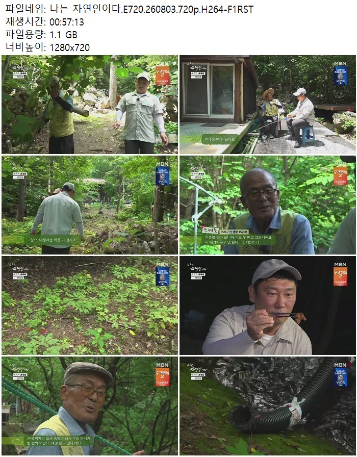 나는 자연인이다.E720.260803.720p.H264