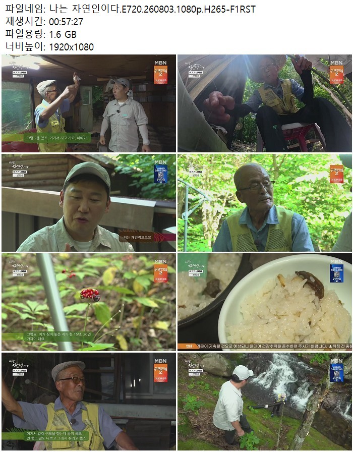 나는 자연인이다.E720.260803.1080p.H265
