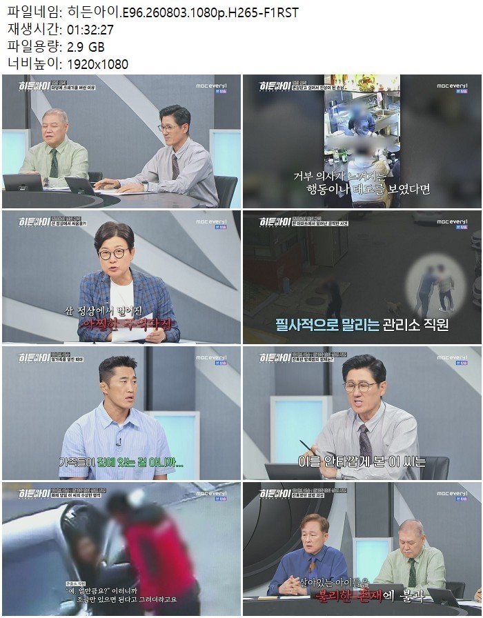 히든아이.E96.260803.1080p.H265