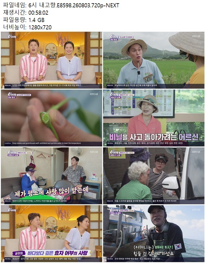 6시 내고향.E8598.260803.720p-NEXT