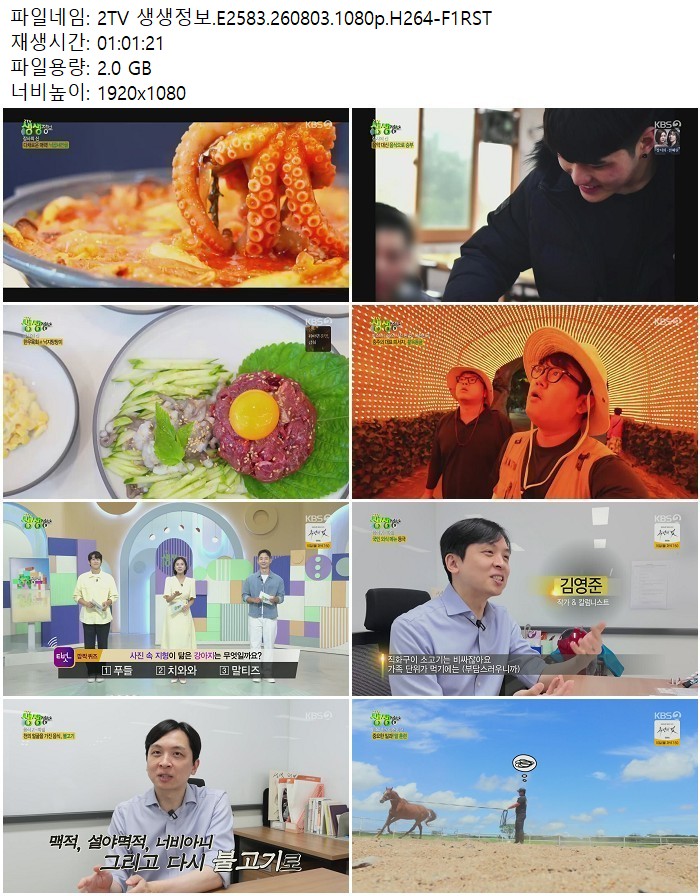 2TV 생생정보.E2583.260803.1080p.H264