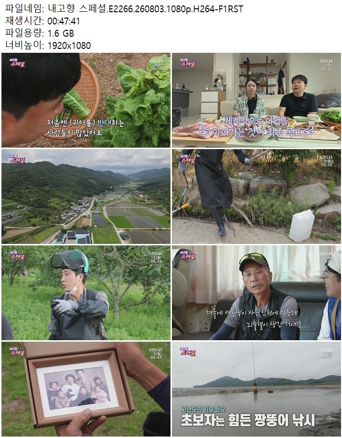 내고향 스페셜.E2266.260803.1080p.H264