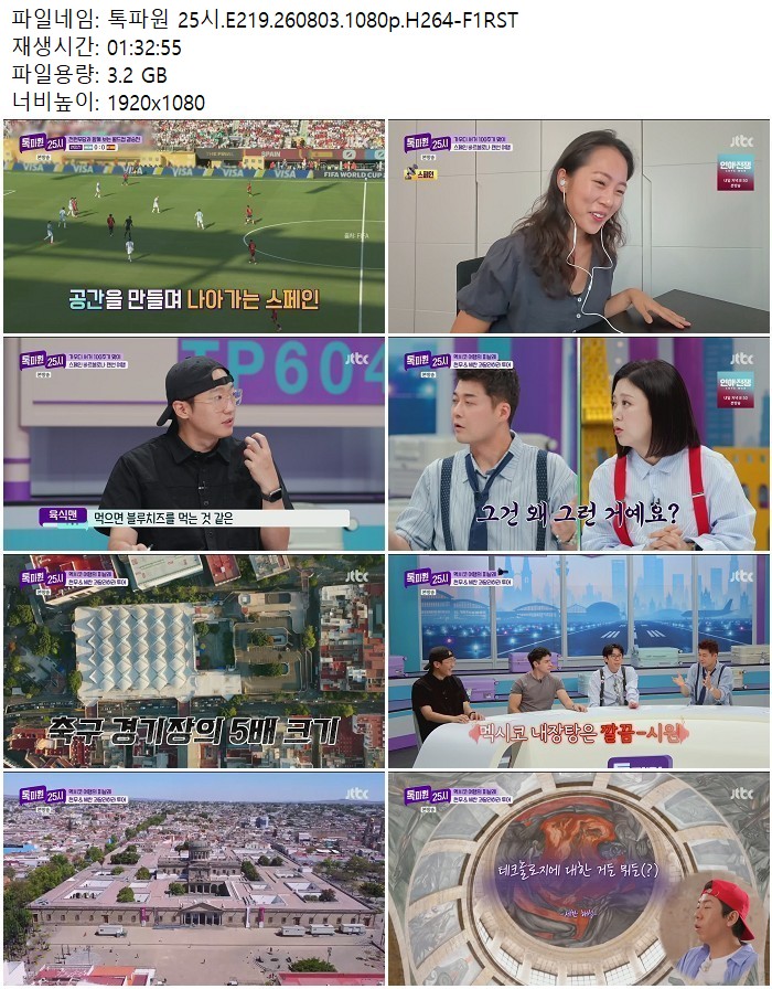 톡파원 25시.E219.260803.1080p.H264