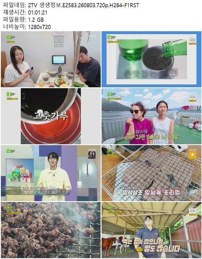 2TV 생생정보.E2583.260803.720p.H264