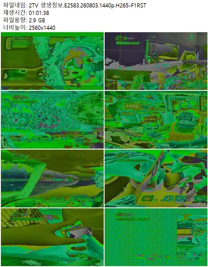 2TV 생생정보.E2583.260803.1440p.H265