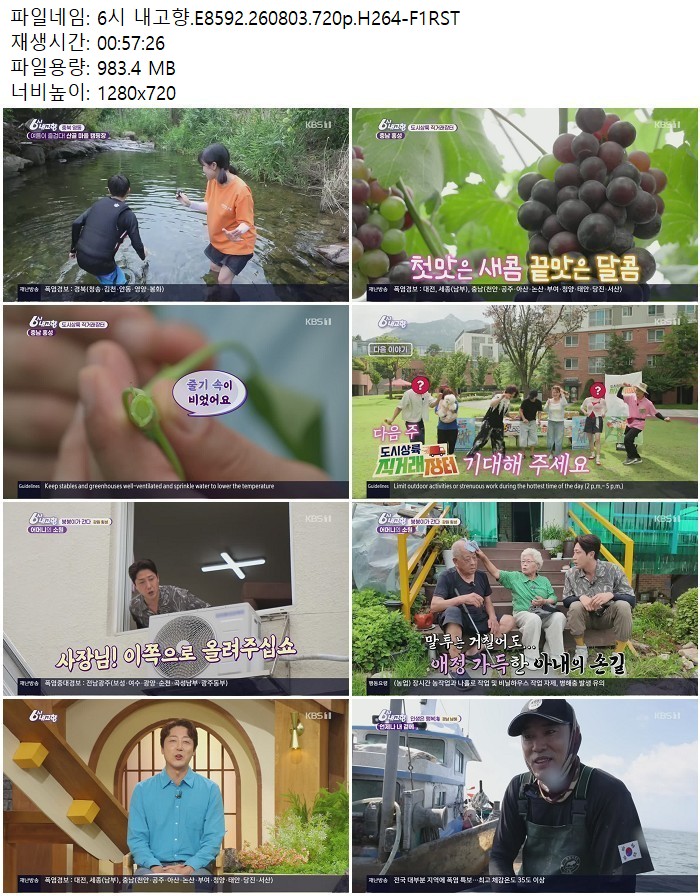 6시 내고향.E8592.260803.720p.H264