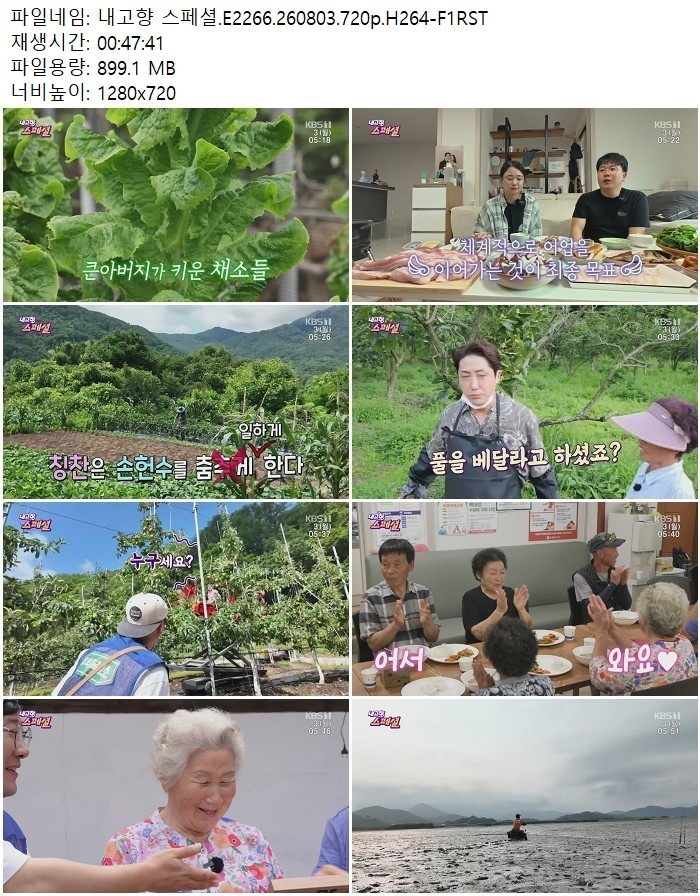 내고향 스페셜.E2266.260803.720p.H264