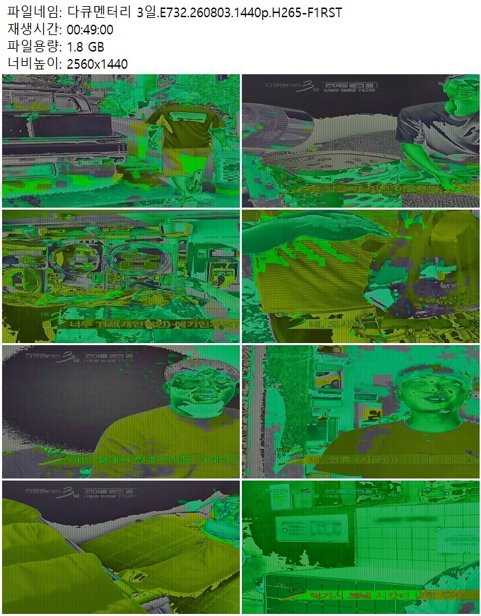 다큐멘터리 3일.E732.260803.1440p.H265