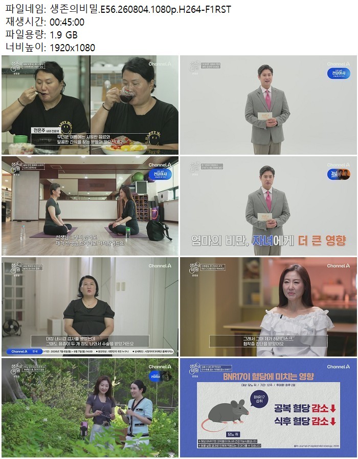 생존의비밀.E56.260804.1080p.H264