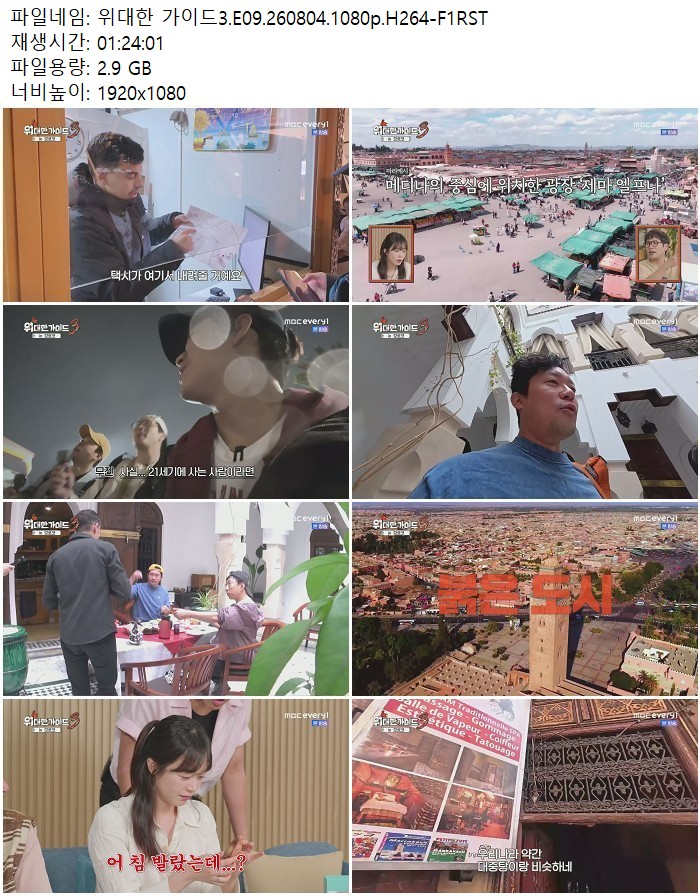 위대한 가이드3.E09.260804.1080p.H264
