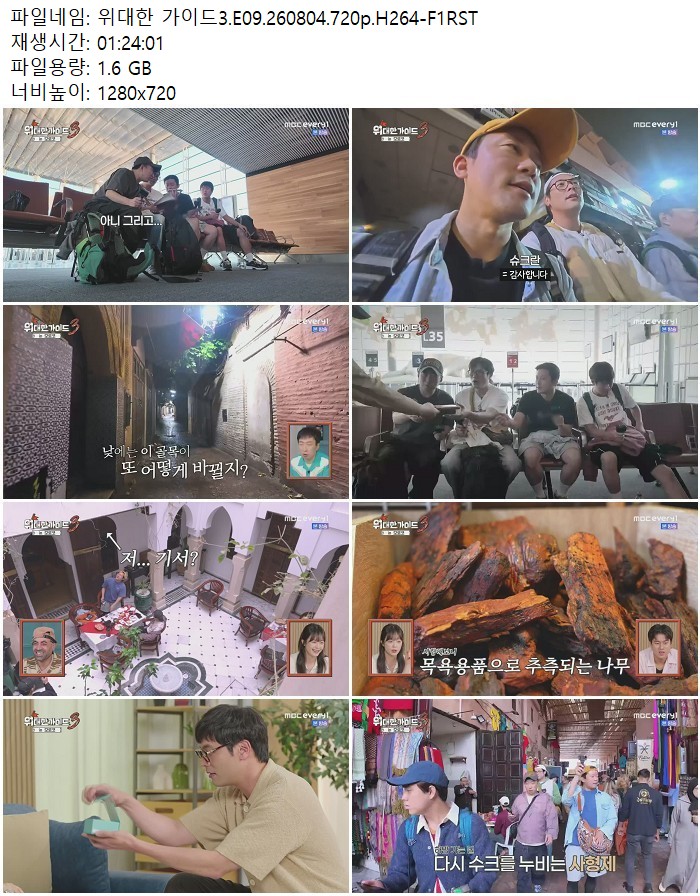 위대한 가이드3.E09.260804.720p.H264