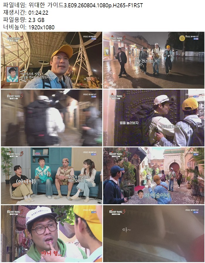 위대한 가이드3.E09.260804.1080p.H265