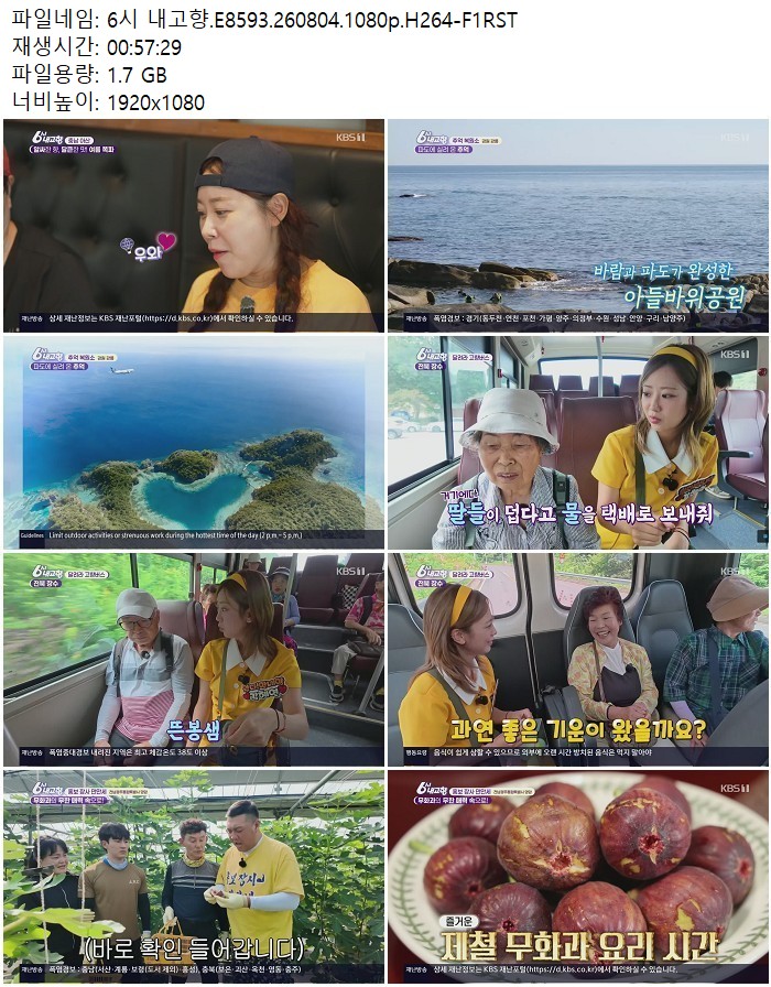 6시 내고향.E8593.260804.1080p.H264