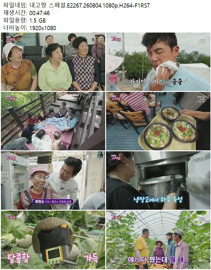 내고향 스페셜.E2267.260804.1080p.H264