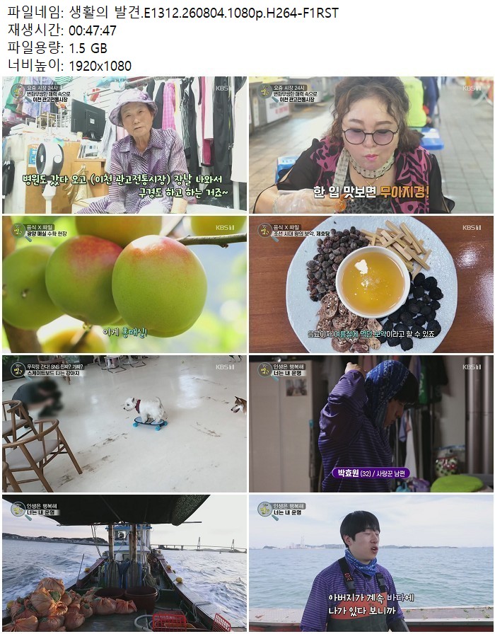생활의 발견.E1312.260804.1080p.H264