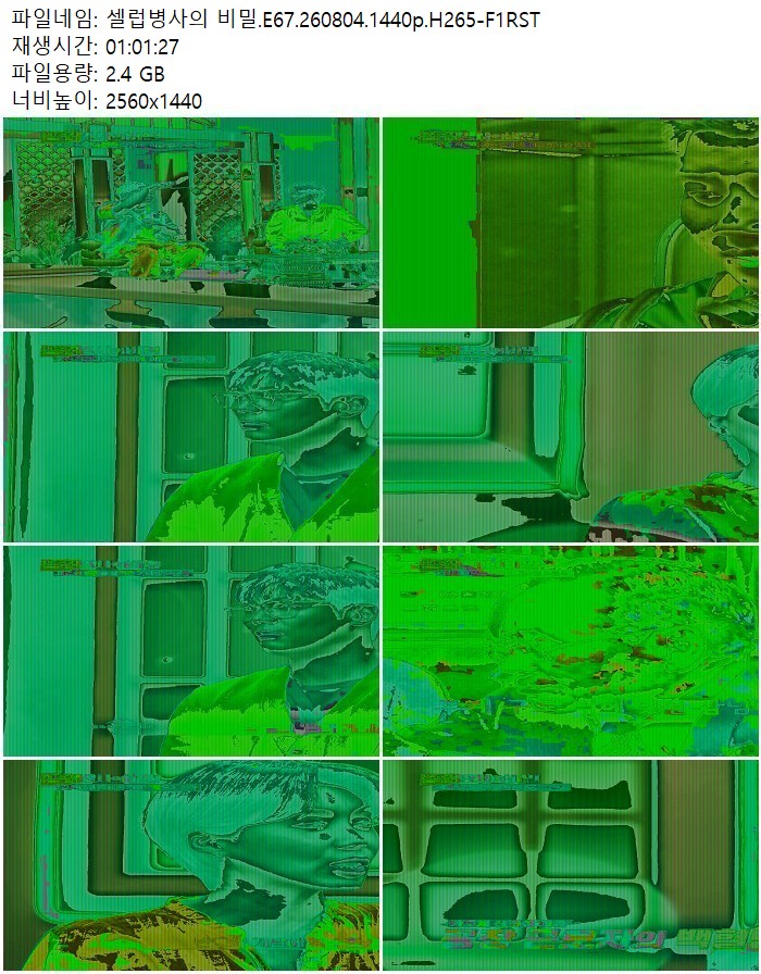 셀럽병사의 비밀.E67.260804.1440p.H265