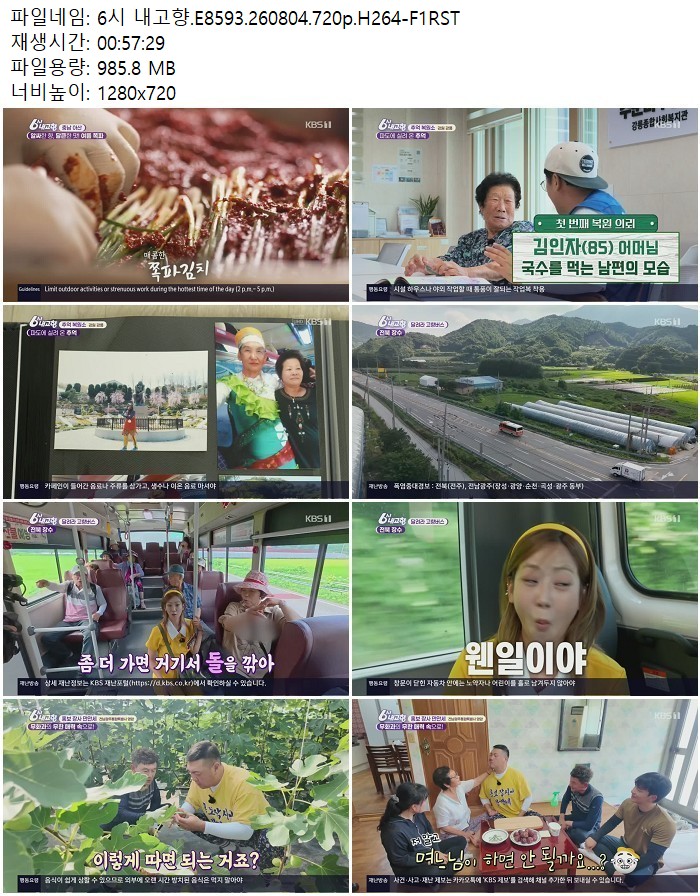 6시 내고향.E8593.260804.720p.H264