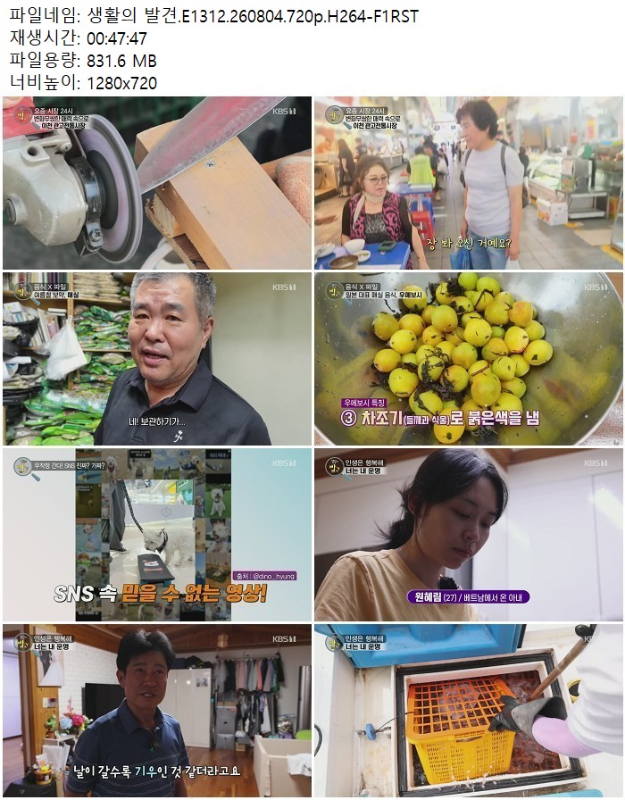 생활의 발견.E1312.260804.720p.H264