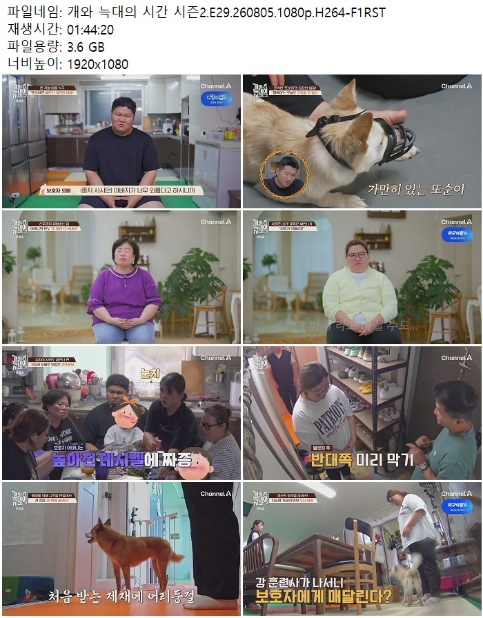 개와 늑대의 시간 시즌2.E29.260805.1080p.H264