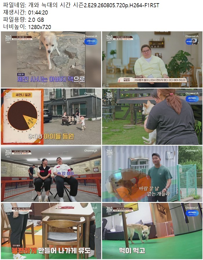 개와 늑대의 시간 시즌2.E29.260805.720p.H264