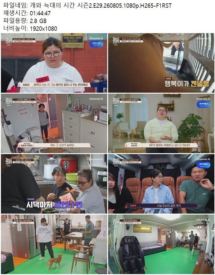 개와 늑대의 시간 시즌2.E29.260805.1080p.H265