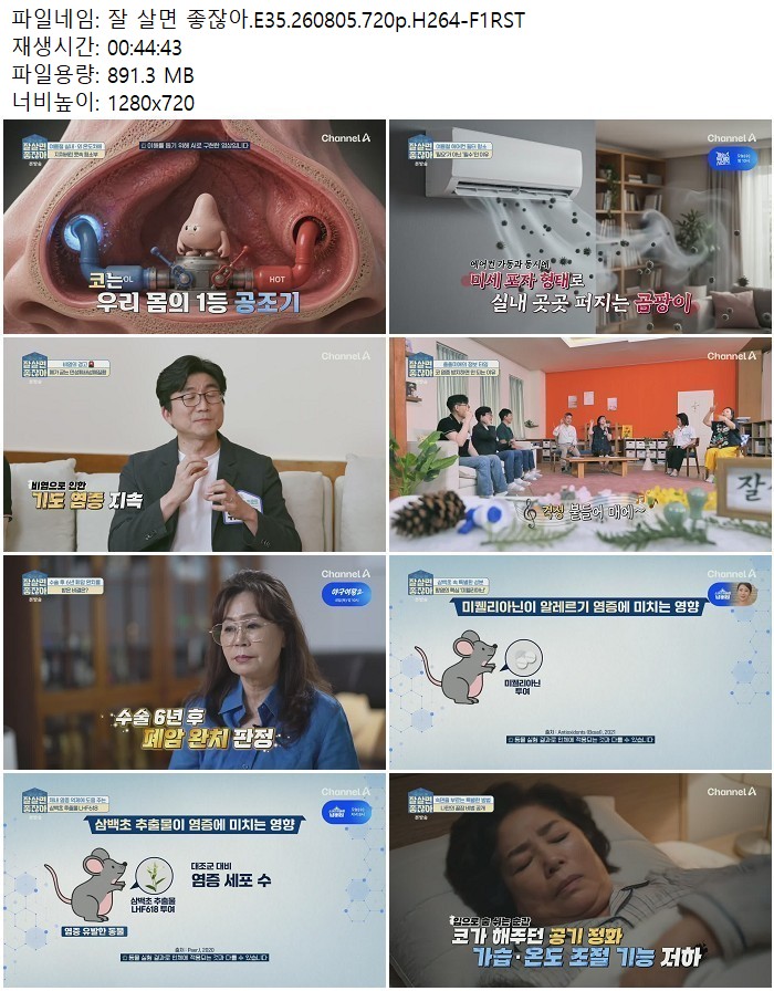 잘 살면 좋잖아.E35.260805.720p.H264