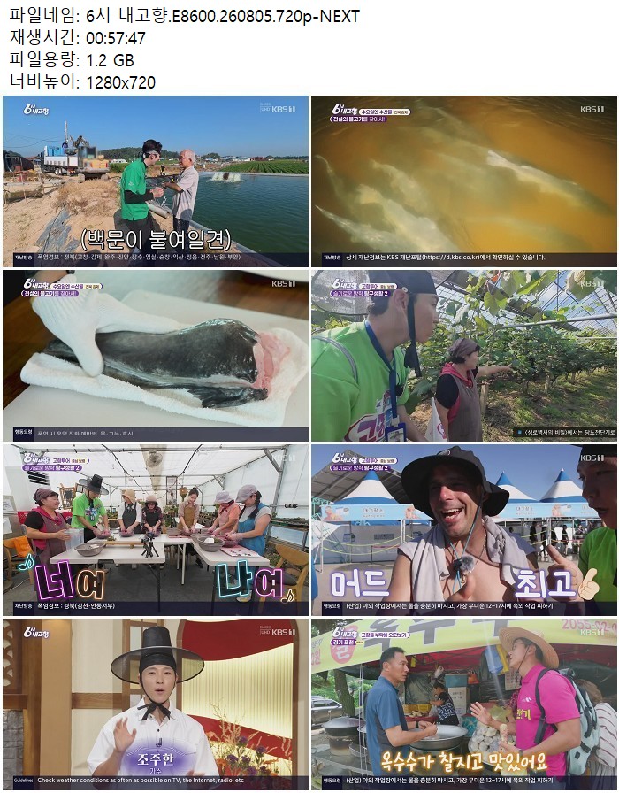 6시 내고향.E8600.260805.720p-NEXT