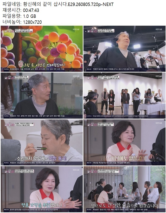 황신혜의 같이 삽시다.E29.260805.720p-NEXT